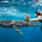 I’ve Never Felt Smaller – or More Alive