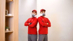 Keunggulan Menggunakan Jasa Anti Rayap Jakarta untuk Melindungi Bangunan Anda