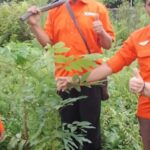 Setahun Mengabdi, Gerakan Rakyat Kalteng Tegaskan Komitmen Lingkungan Lewat Aksi Penghijauan