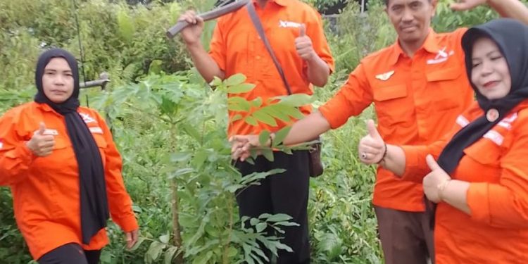 Setahun Mengabdi, Gerakan Rakyat Kalteng Tegaskan Komitmen Lingkungan Lewat Aksi Penghijauan