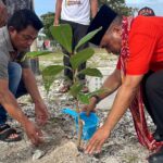 Dari Ujung Utara Indonesia, Gerakan Rakyat Tanam Pohon Demi Masa Depan Alam