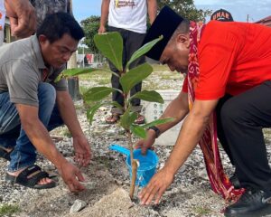 Dari Ujung Utara Indonesia, Gerakan Rakyat Tanam Pohon Demi Masa Depan Alam